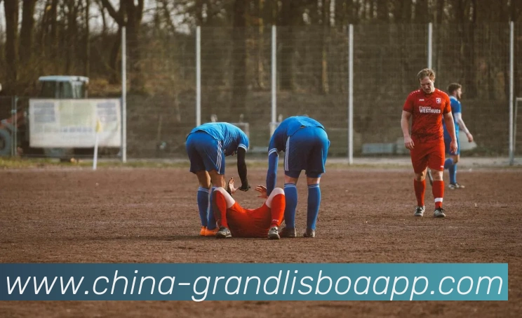 新葡京娱乐平台生态图